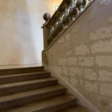 Appartement Cosy Centre Historique אביניון מראה חיצוני תמונה
