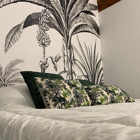 Appartement Cosy Centre Historique אביניון מראה חיצוני תמונה