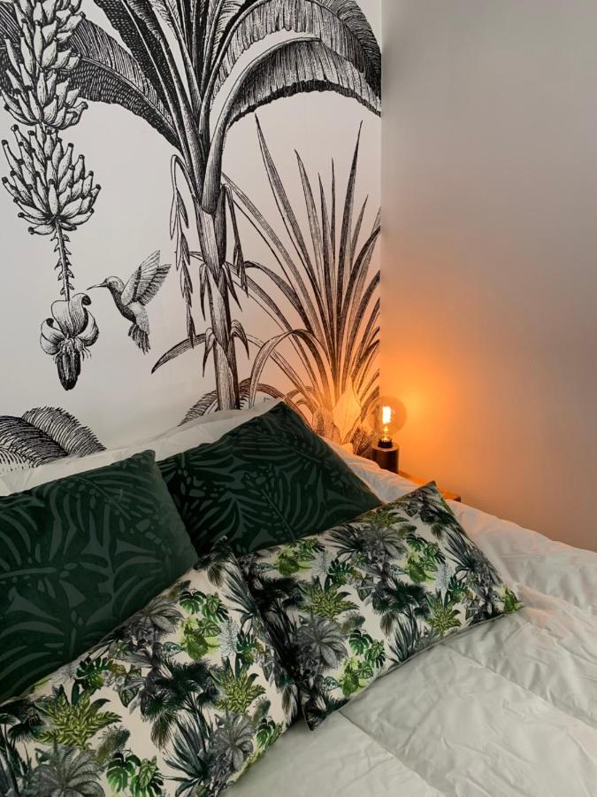 Appartement Cosy Centre Historique אביניון מראה חיצוני תמונה