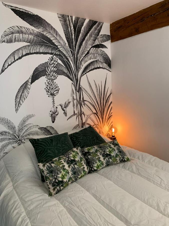 Appartement Cosy Centre Historique אביניון מראה חיצוני תמונה