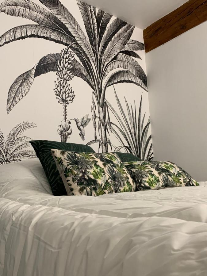 Appartement Cosy Centre Historique אביניון מראה חיצוני תמונה